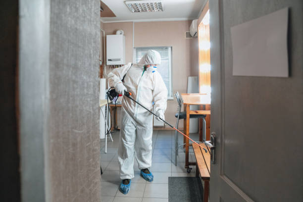 Mold Documentation for Insurance Claims in Medina, OH